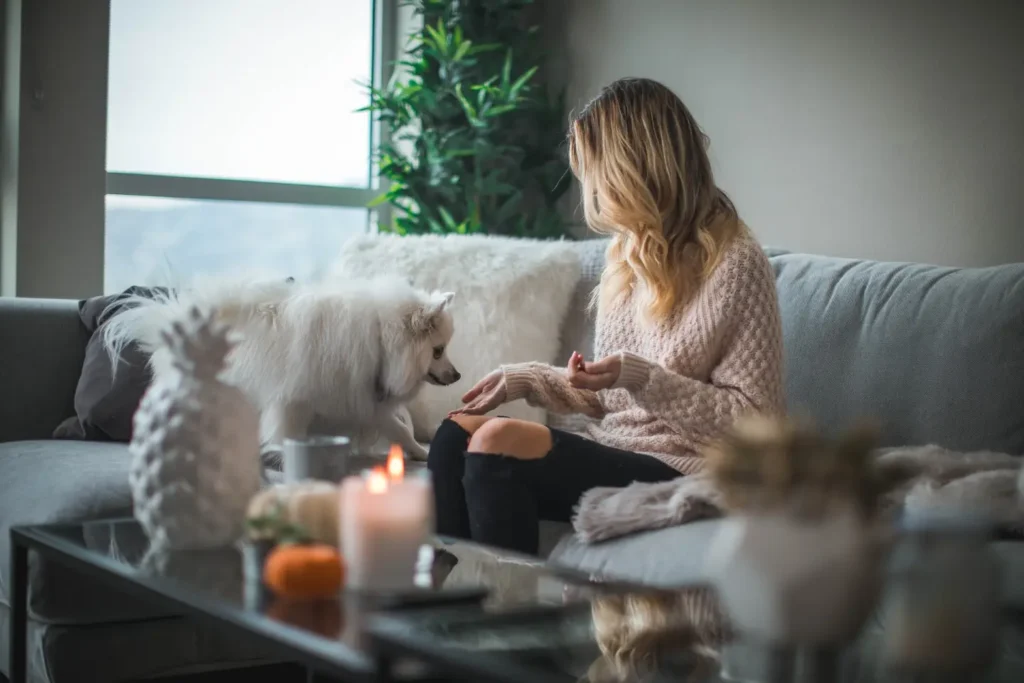roberto nickson q9nZUFC1nTw unsplash 1024x683 1