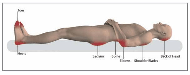 PressureMap 13